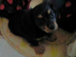 200802030822000.jpg