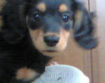 200803091155000.jpg