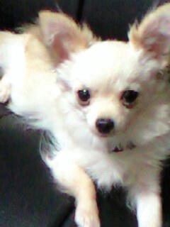 080520_0810~0001.jpg