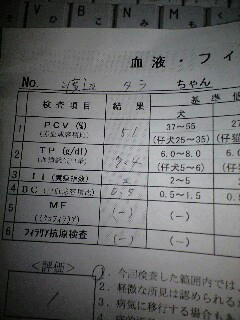 080624_1248~0001.jpg