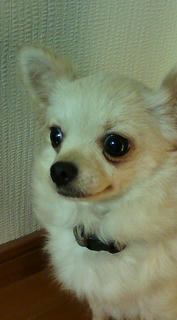 20080915071628.jpg