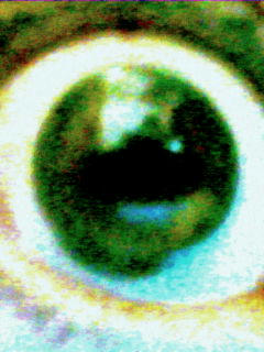 20090101010651.jpg