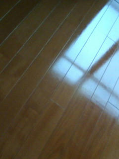 20090519064230.jpg