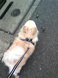 20090618164343.jpg
