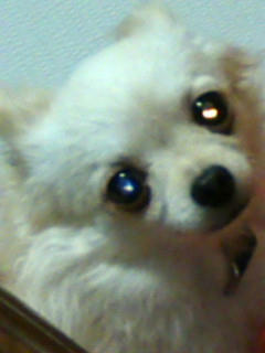20090917042324.jpg