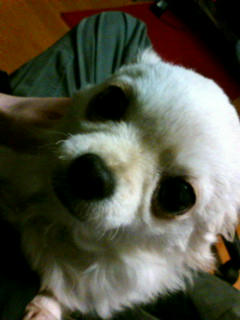 20100114010059.jpg