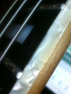 20100117181533.jpg