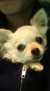 20100329213437.jpg