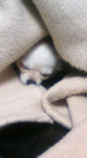 20100403212747.jpg