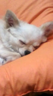 20100402224933.jpg