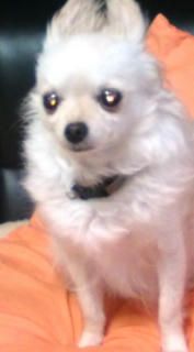 20100411210524.jpg