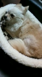 20100502174912.jpg