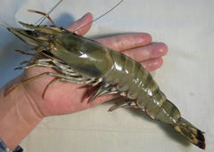 83043e42.jpg