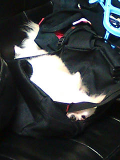 20100816094745.jpg