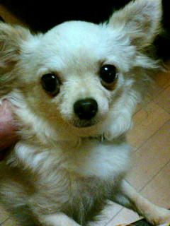 20100906192308.jpg