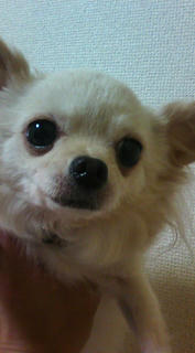 20100921191906.jpg