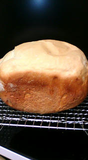 20101010201231.jpg