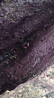 20101016064119.jpg
