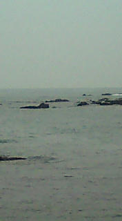 20101016063959.jpg