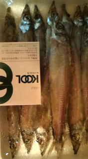 20101029204828.jpg