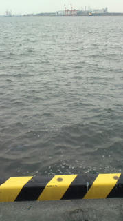 20101216143305.jpg