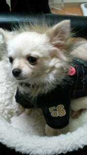 20101212150543.jpg