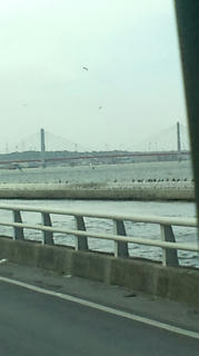 20110316134005.jpg