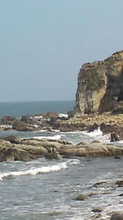 20110331141802.jpg