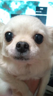 20110420211450.jpg