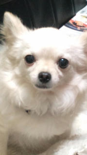 20110420211556.jpg