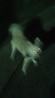 20110717212837.jpg
