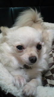 20110814170053.jpg