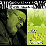 Mo' Jazzy Grooves