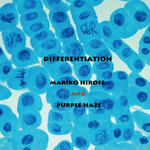 廣瀬真理子とPurple Haze Differentiation』