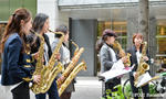 sax cats