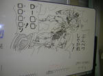 DSCN3288.JPG