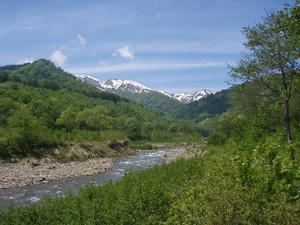 411ac17b.jpg
