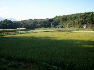 1a59a665.jpg
