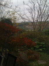 89129c68.jpg