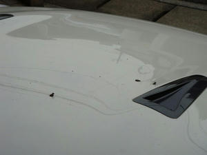 14f25886.jpg