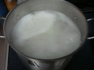 70bb282d.jpg