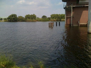 7d7b7809.jpg