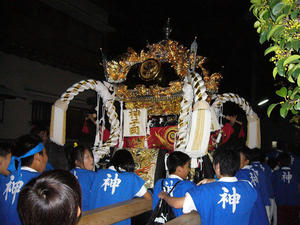 P1000117-1.JPG