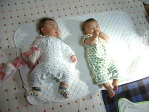 P1000122-1.JPG
