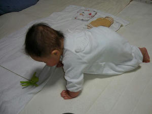 P1000255-1.JPG