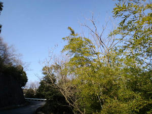 CA3C0059.jpg