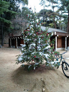CA3C04030001.jpg