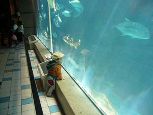 P1000954-1.JPG