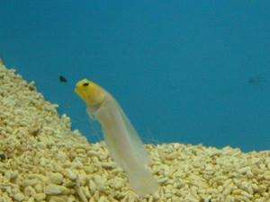 P1000970-1.JPG