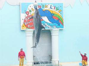 P1010034-1.JPG